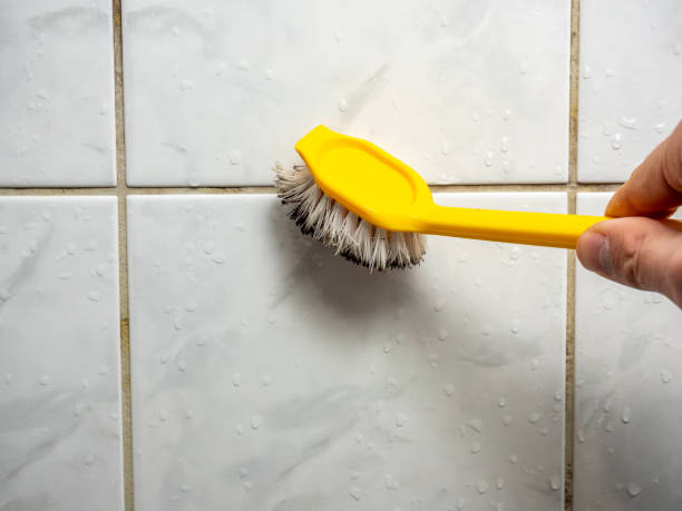 Best Mold Removal Company Near Me  in Quitman, GA