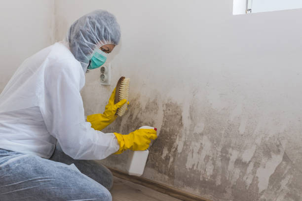 Crawl Space Mold Removal in Quitman, GA