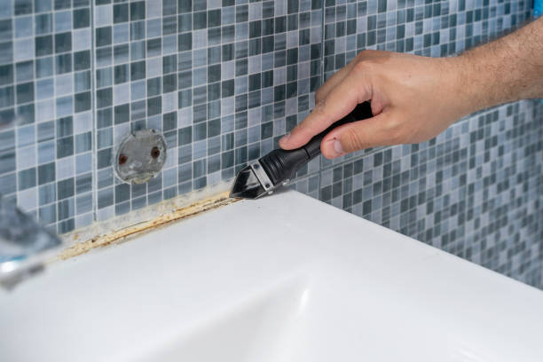 Best Mold Damage Repair  in Quitman, GA